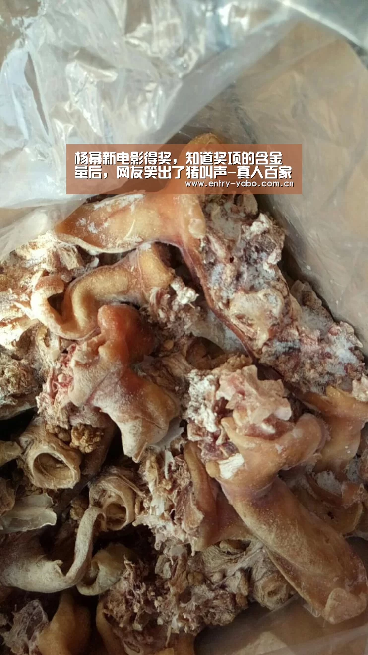 真人百家乐